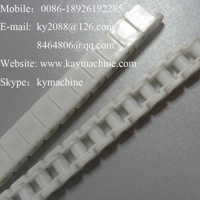 Plastic roller chains RS Plastic Chains short chain pitch. 40P 60P Plastic chains China manufacturer factory producer